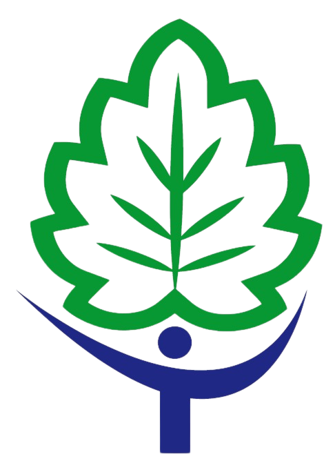 Historia Sobre el ISTS